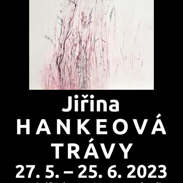 JIŘINA HANKEOVÁ: TRÁVY, 27.5.-25.6.2023